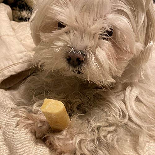 Premium Himalayan Yak Cheese Dog Chews - All-Natural, Long-Lasting Dog Bones for Aggressive Chewers - Healthy Dental Treats for Large Dogs Under 55 lbs - Perfect for Teething Puppies & Strong Chewers - Great for Outdoor Adventures & Crate Training