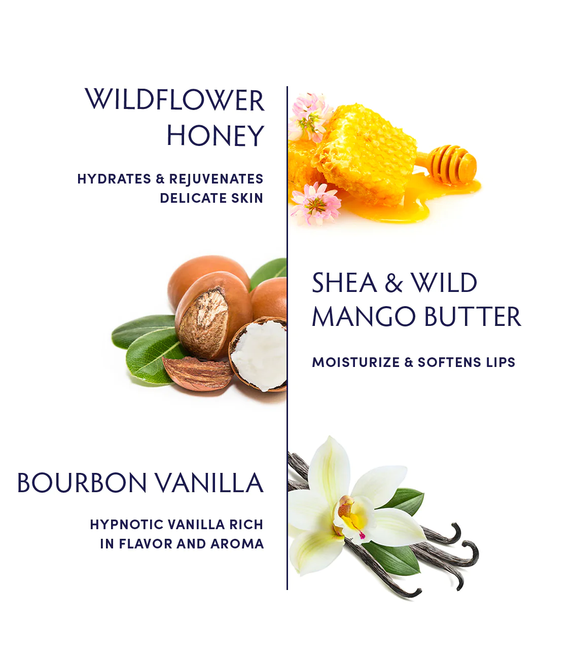 Naturopathica Honey Vanilla Lip Balm - Organic Moisturizing Lip Care for Dry & Chapped Lips - Perfect for Winter, Travel & Daily Hydration