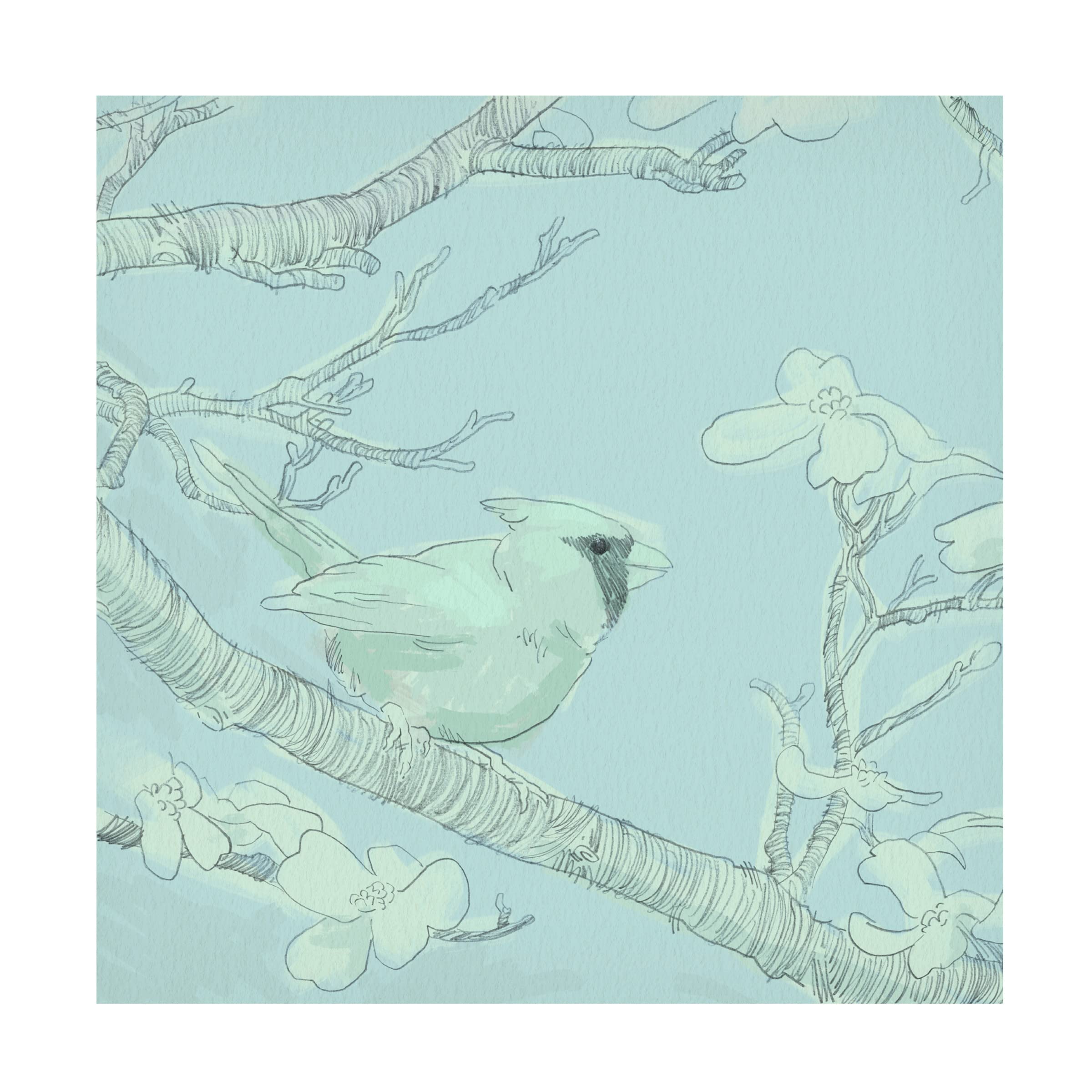 Jacob Green 'Backyard Bird Sketch I' Canvas Wall Art Print - Nature Inspired Home Decor for Living Room, Bedroom & Office