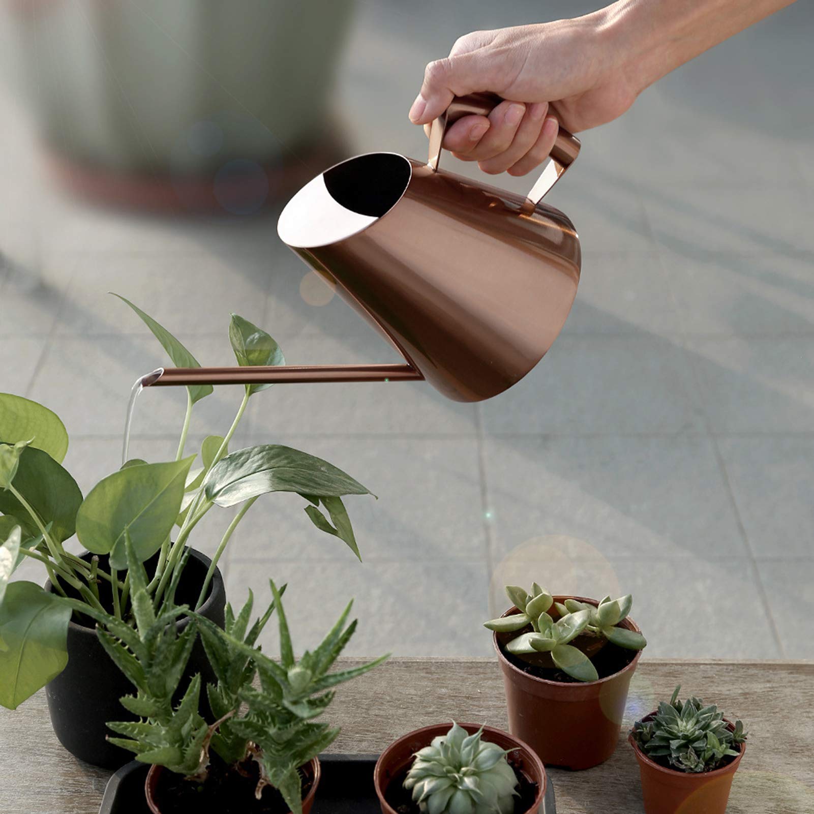 Stainless Steel Watering Can for Indoor & Outdoor Plants - Long Narrow Spout for Succulents, Bonsai & Flowers - Perfect Gardening Kettle for Houseplants, Balcony & Garden Use