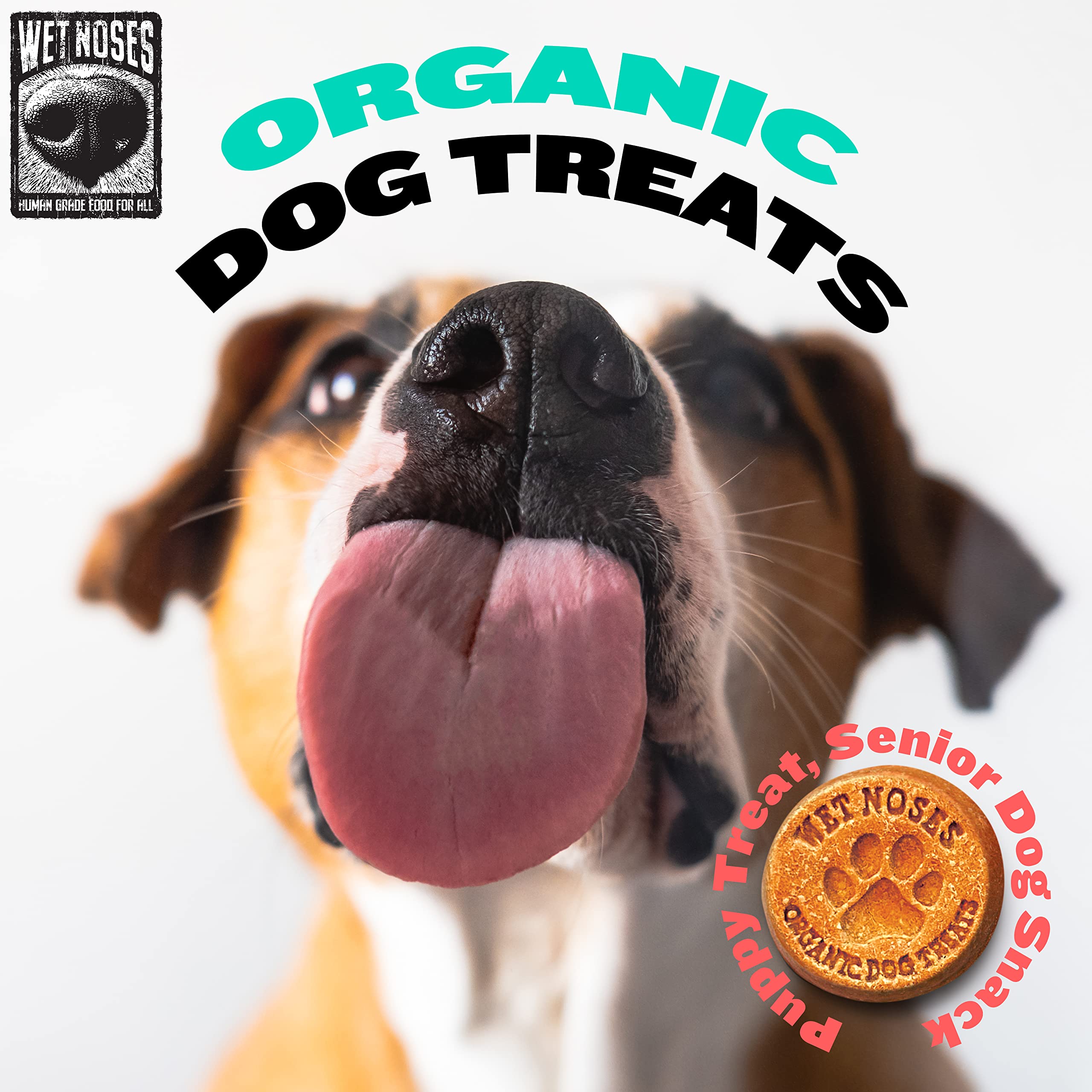 Grain-Free Peanut Butter Molasses Dog Treats 14 oz - All-Natural Soft Baked Biscuits for Small & Large Dogs - Perfect for Training, Rewards & Dental Health