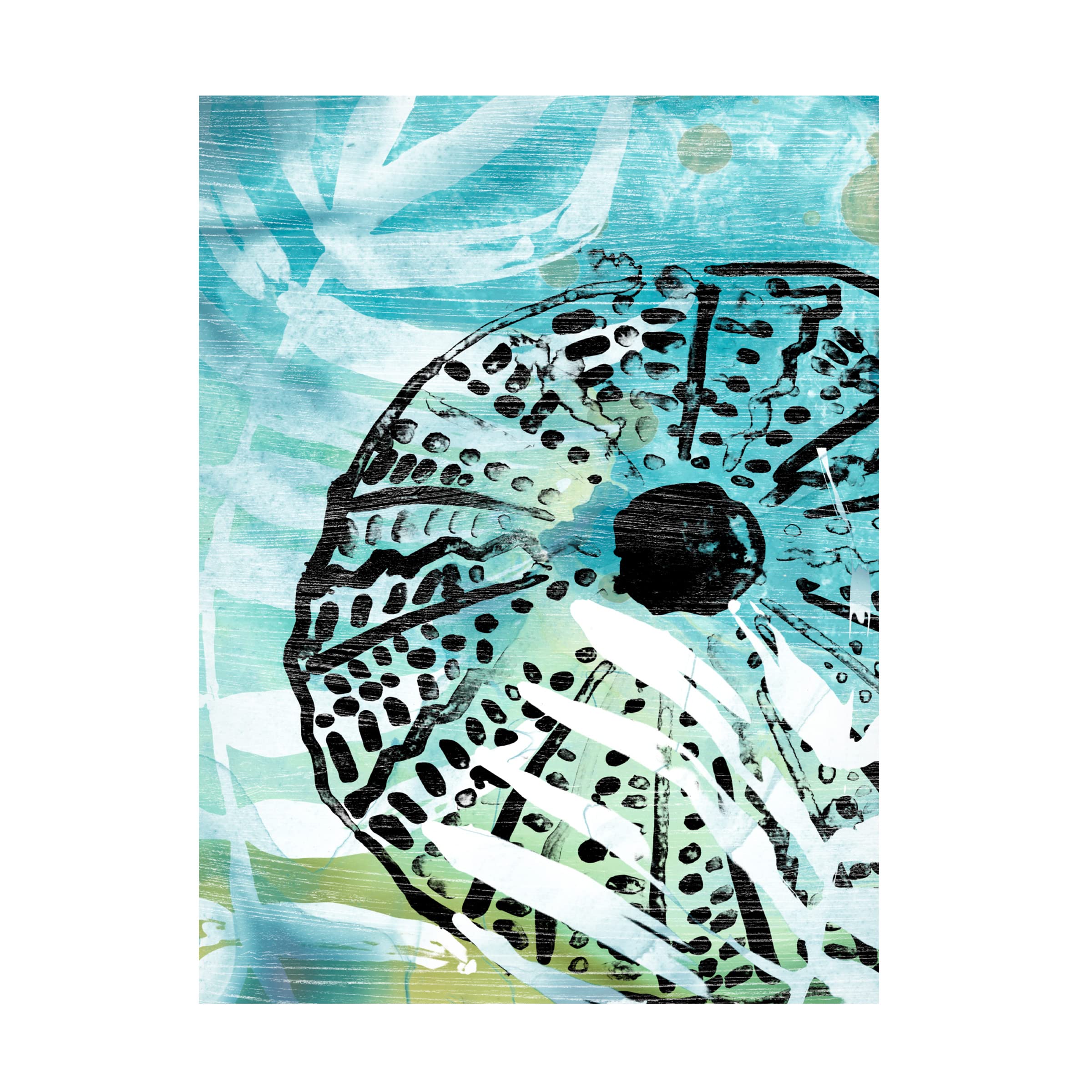 Trademark Fine Art 'Echinoidia I' Canvas Wall Art Print by June Erica Vess - Modern Home Decor for Living Room, Bedroom & Office