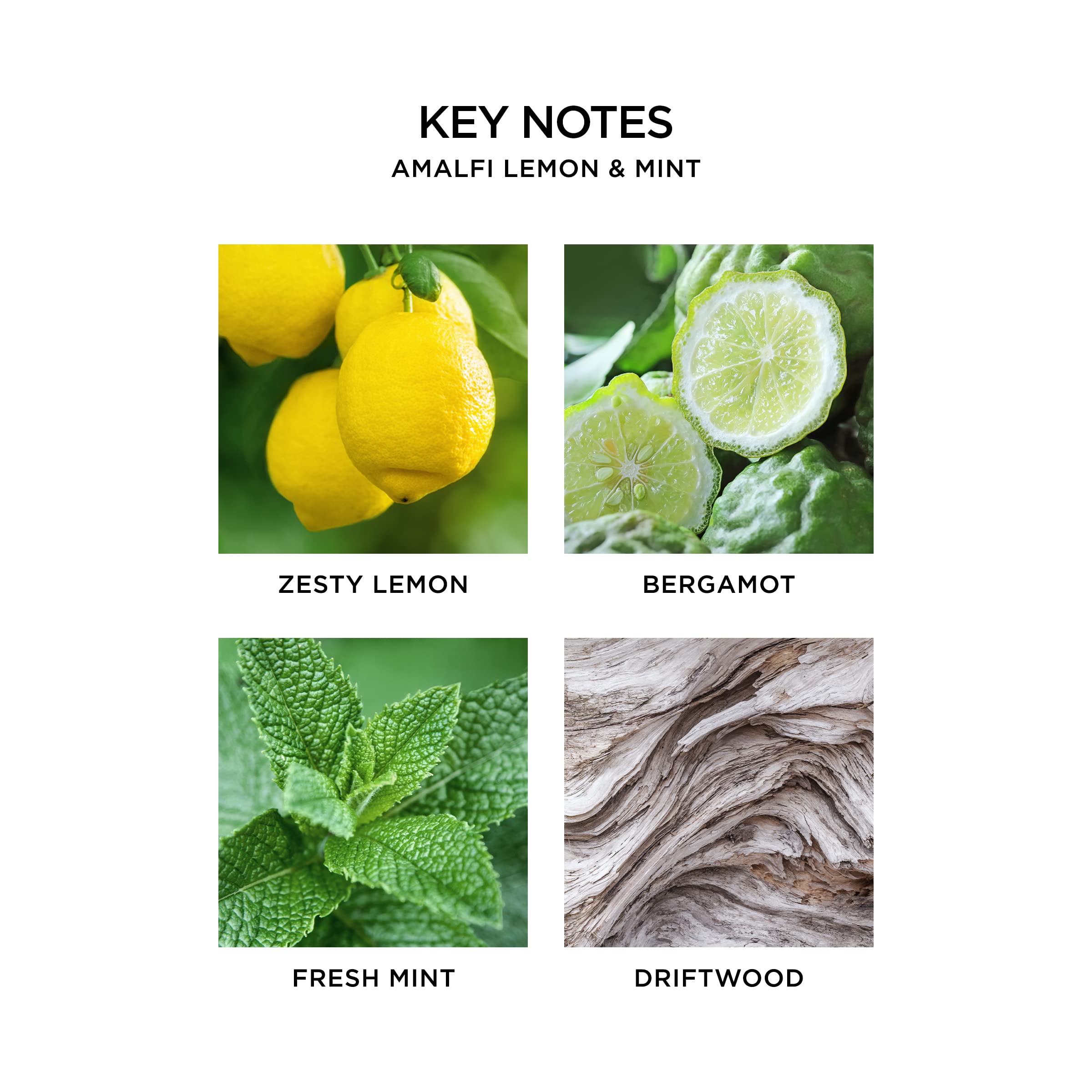 NEST New York Amalfi Lemon & Mint Reed Diffuser Refill - 5.9 fl oz Long-Lasting Essential Oil Aromatherapy - 90 Days Fragrance for Home, Office, Bedroom & Bathroom - Flame Free Air Freshener