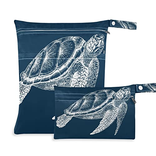 Sea Turtle