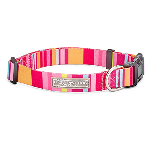 Molly Collar Only