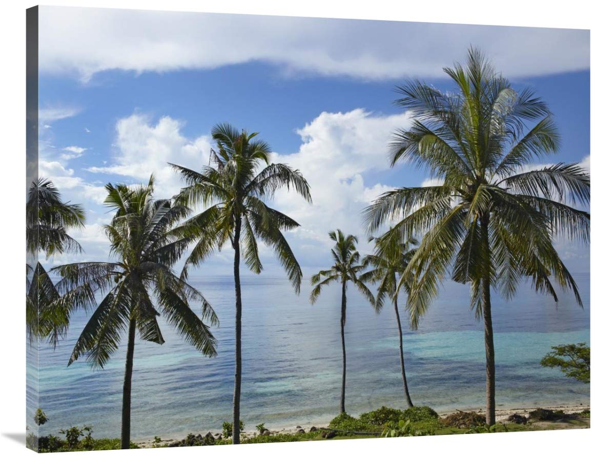 Premium Canvas Wall Art - 40