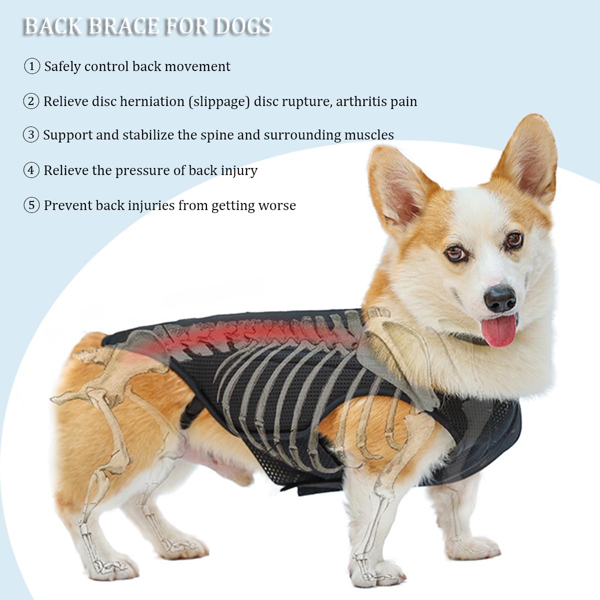 **IVDD Back Brace for Dogs - Adjustable Dog Back Support Vest for Dachshunds & Small Pets - Relief for Arthritis, Back Pain, Herniated Disc & Post-Surgery Recovery (Size S) - Ideal for Walks, Recovery & Daily Comfort**