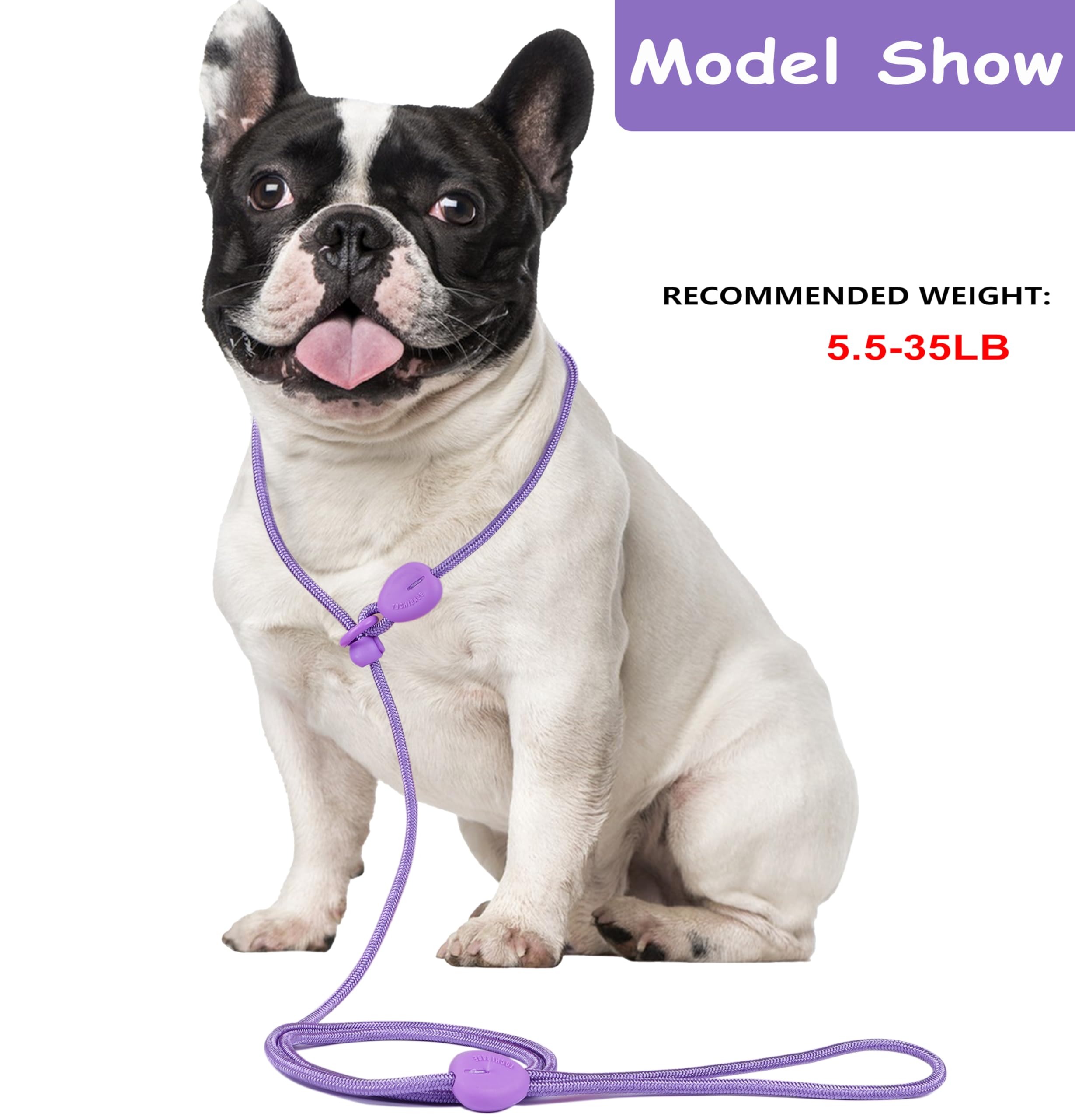 6FT No Pull Slip Lead Dog Leash - Lightweight Training Leash for Small & Medium Dogs | Adjustable Slip Collar for Walking, Training & Outdoor Activities (Purple)