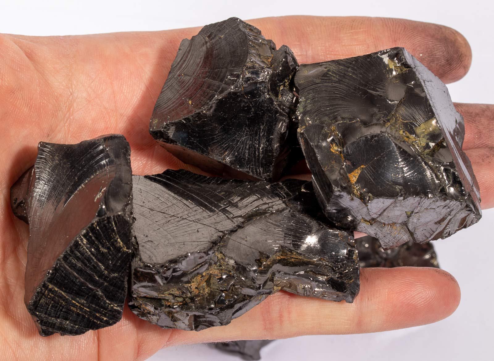 Natural Raw Elite Noble Shungite Stones - 1/2 lb Extra Large for Water Purification & Healing | EMF Protection, Home Wellness & Spiritual Cleansing