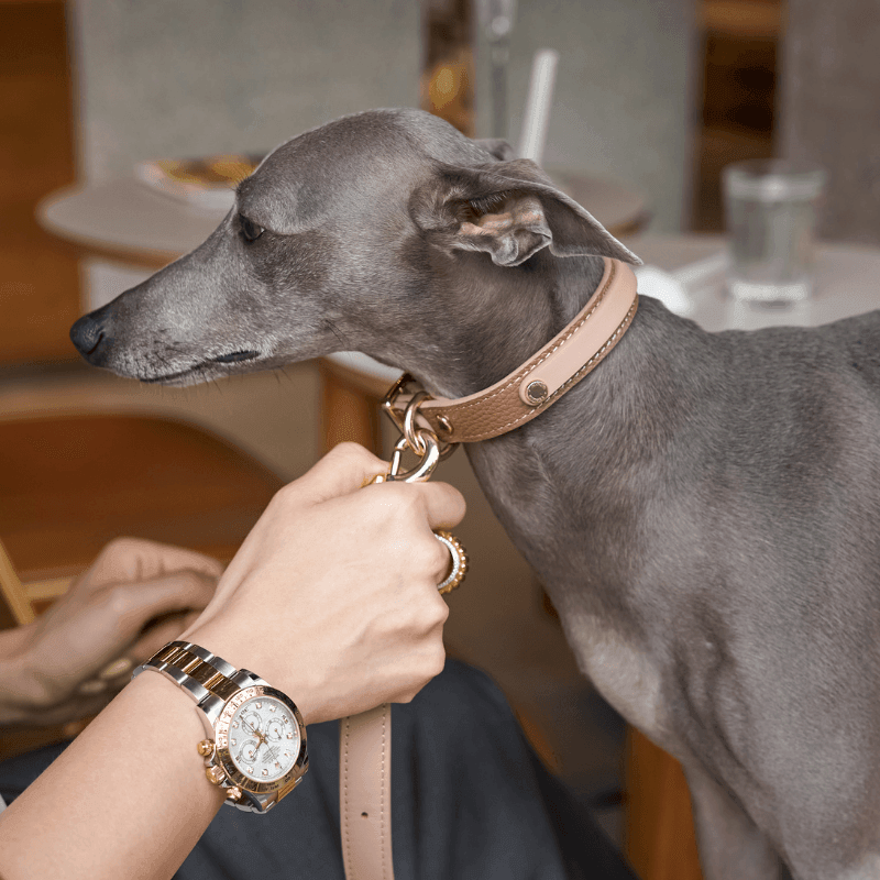 Premium Slim Blushwood Leather Dog Collar - Adjustable & Stylish Pet Accessory for Small to Medium Dogs - Perfect for Daily Walks, Training & Outdoor Adventures