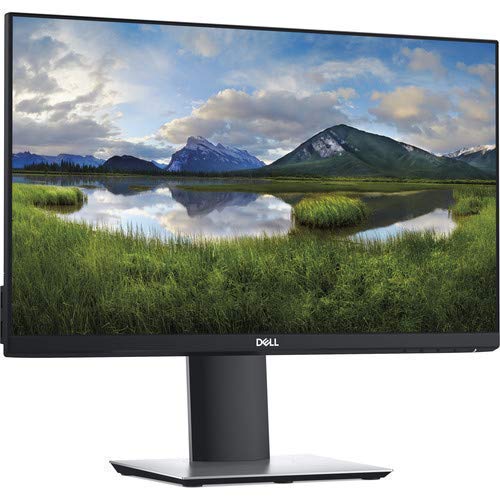 Dell 22