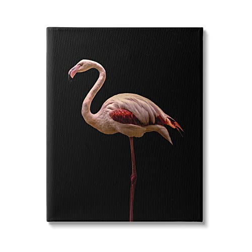 Gallery Wrapped Canvas