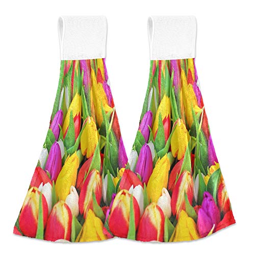 Tulip Flower