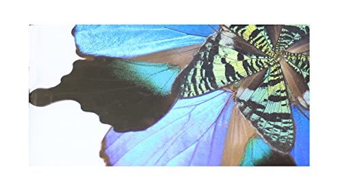 Eydelia Butterfly Wing Wall Art - Blue Floral Home Decor for Living Room, Bedroom & Office