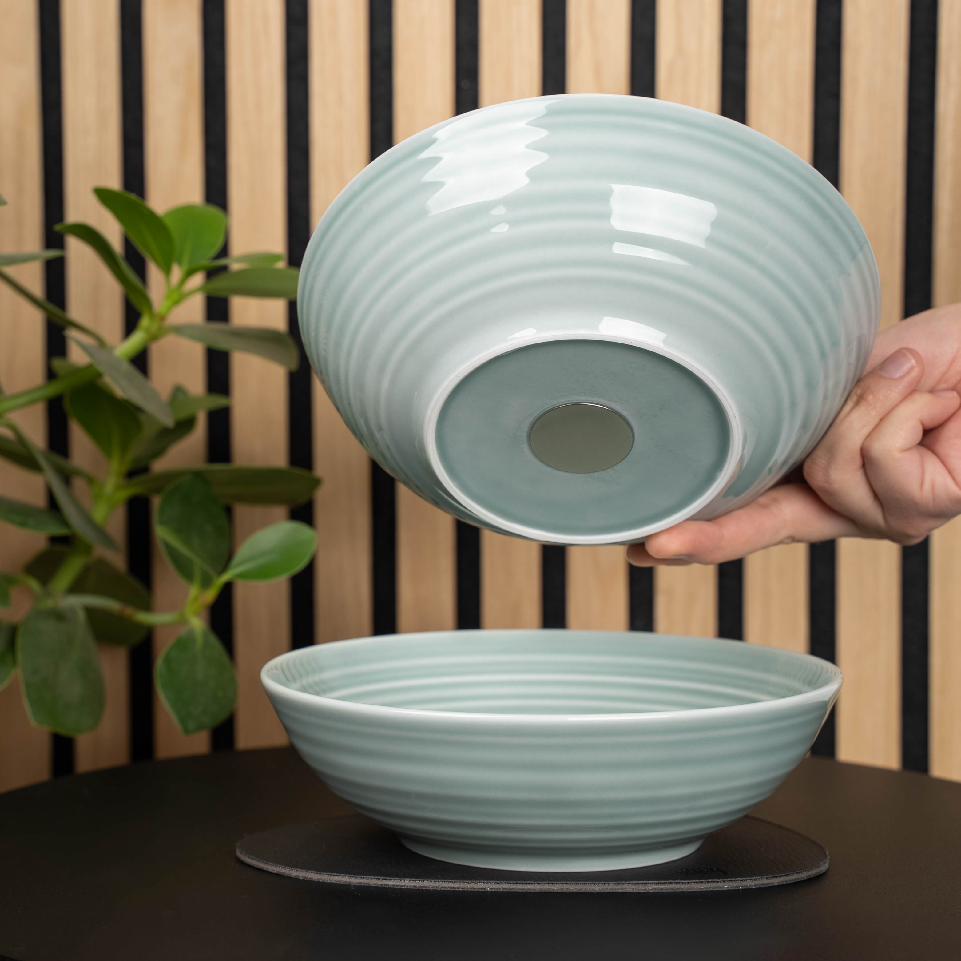 Premium Magnetic Porcelain Food Bowls - 20cm Cyan Blue Set of 4 | Durable Pet & Human Dish | Microwave & Dishwasher Safe | Perfect for Kitchen, Dining Table & Outdoor Picnics