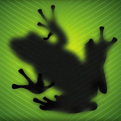 Green Frog