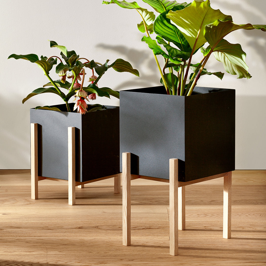 Botanic Pedestal Pot - Elegant Indoor Plant Stand for Home Decor, Living Room, Office & Garden - Perfect for Succulents, Flowers & Houseplants