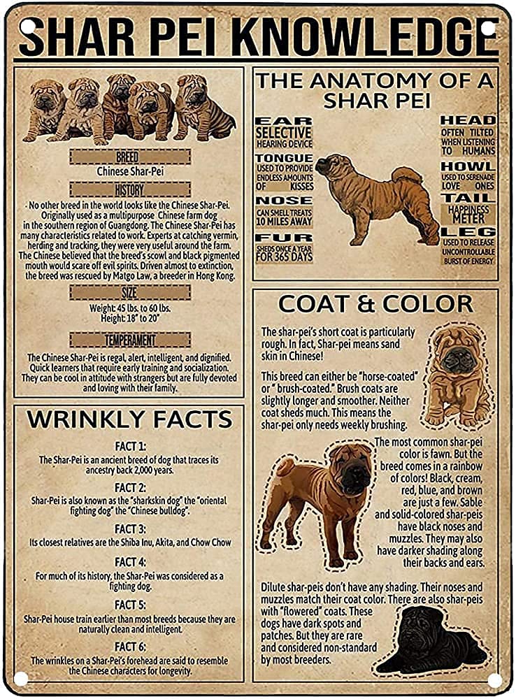 Shar Pei Dog Tin Photo Print Wall Art & 300-Piece Jigsaw Puzzle for Adults - 18.9''x11.1'' Home Decor, Family Gift, Kids Educational Toy | Perfect for Living Room Decor, Birthday Presents & Relaxing Puzzle Nights