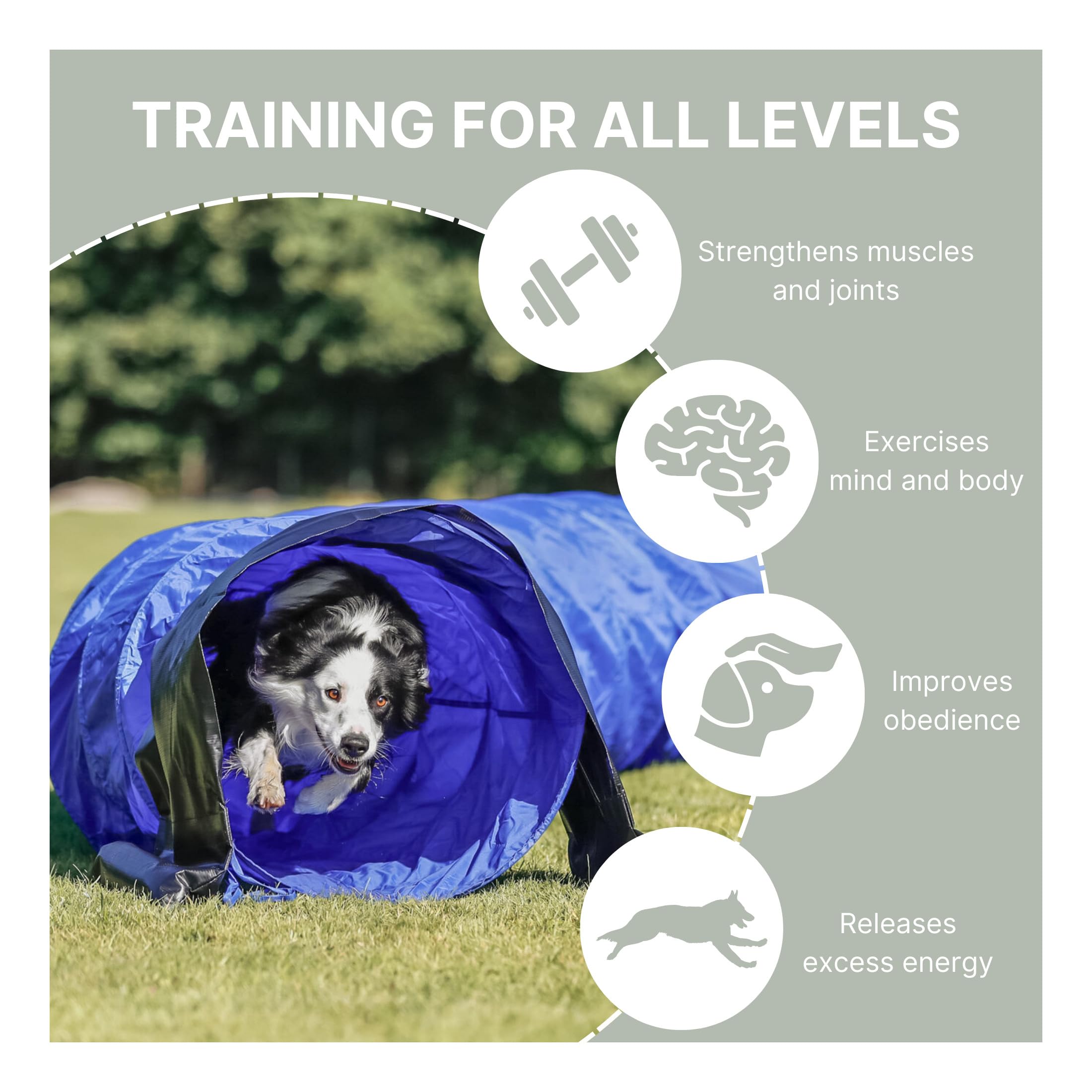 TRIXIE Dog Agility Tunnel - Large Pet Training Equipment for Indoor/Outdoor Use, 16.4ft Long & 23.6in Diameter Portable Dog Tunnel for Beginners & Advanced Agility Courses - Perfect for Backyard Training, Competitions & Fun Exercise