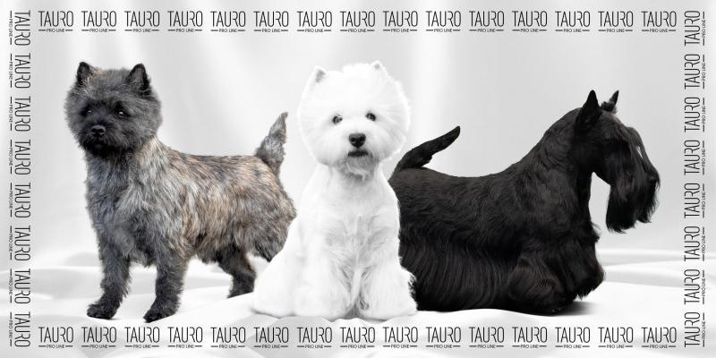 Tauro Pro Line Microfiber Towel - Ultra Absorbent, Quick Drying, Unique Design for Gym, Sports & Car Detailing