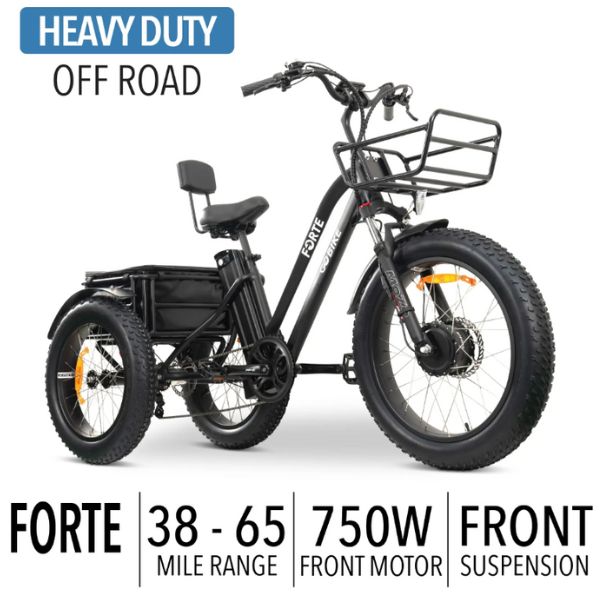 Go Bike FORTE Electric Tricycle for Adults - 750W Motor, 48V 15Ah Battery, 25MPH Speed - Perfect for Commuting, Grocery Shopping & Senior Mobility