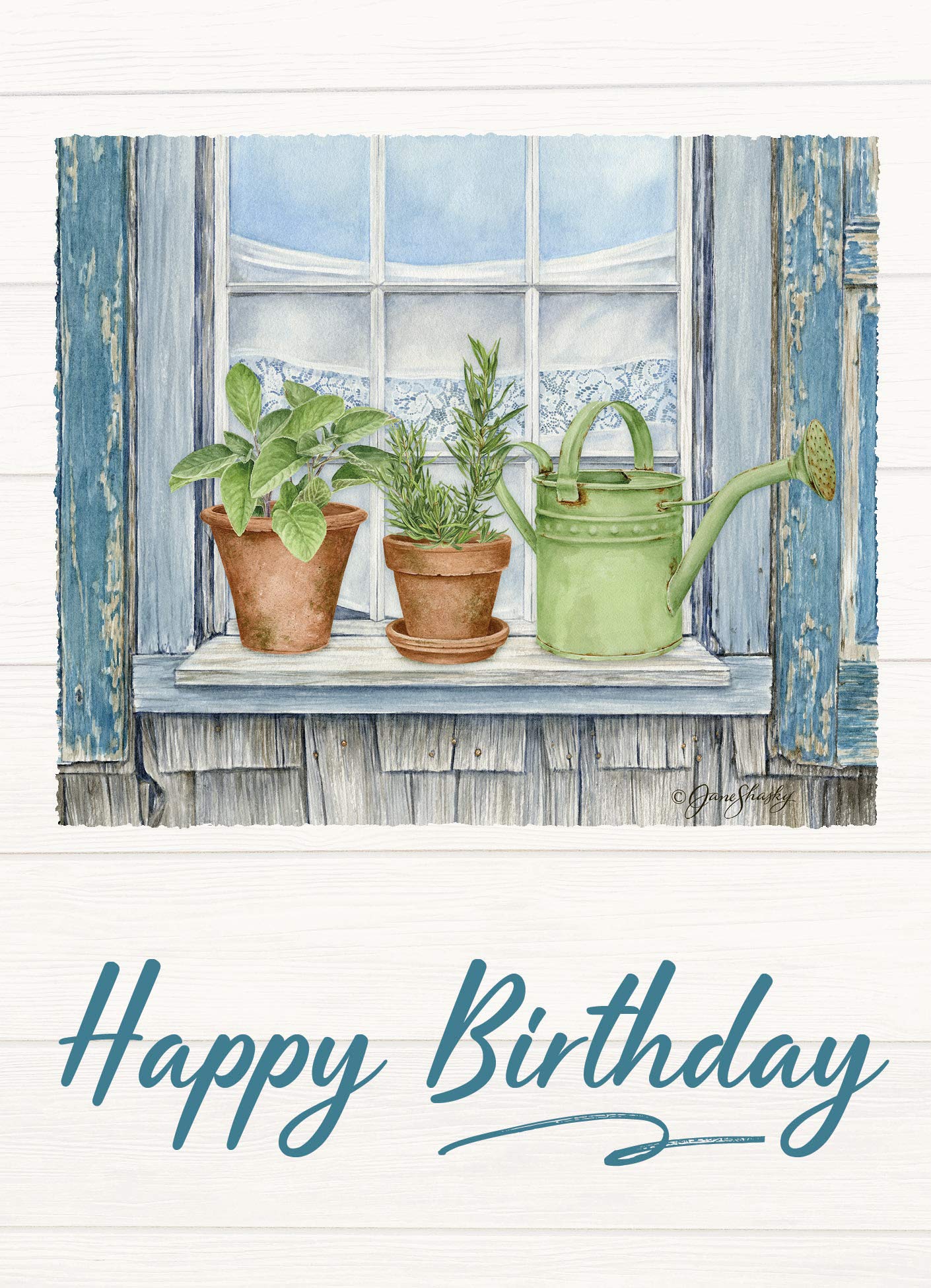 HTL Card Boxed Birthday Herb Garden Kit - Set of 12 Greeting Cards with Envelopes | Perfect for Birthday Gifts, Thank You Cards & Home Gardening Enthusiasts