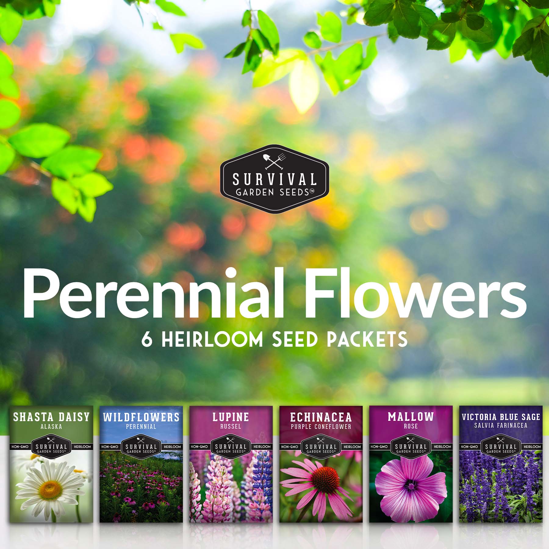 Perennial Flowers Mix - Shasta Daisy, Echinacea, Russell Lupine, Rose Mallow & Blue Sage Wildflower Seeds | Long-Lasting Garden Blooms for Borders, Pollinator Gardens & Landscaping