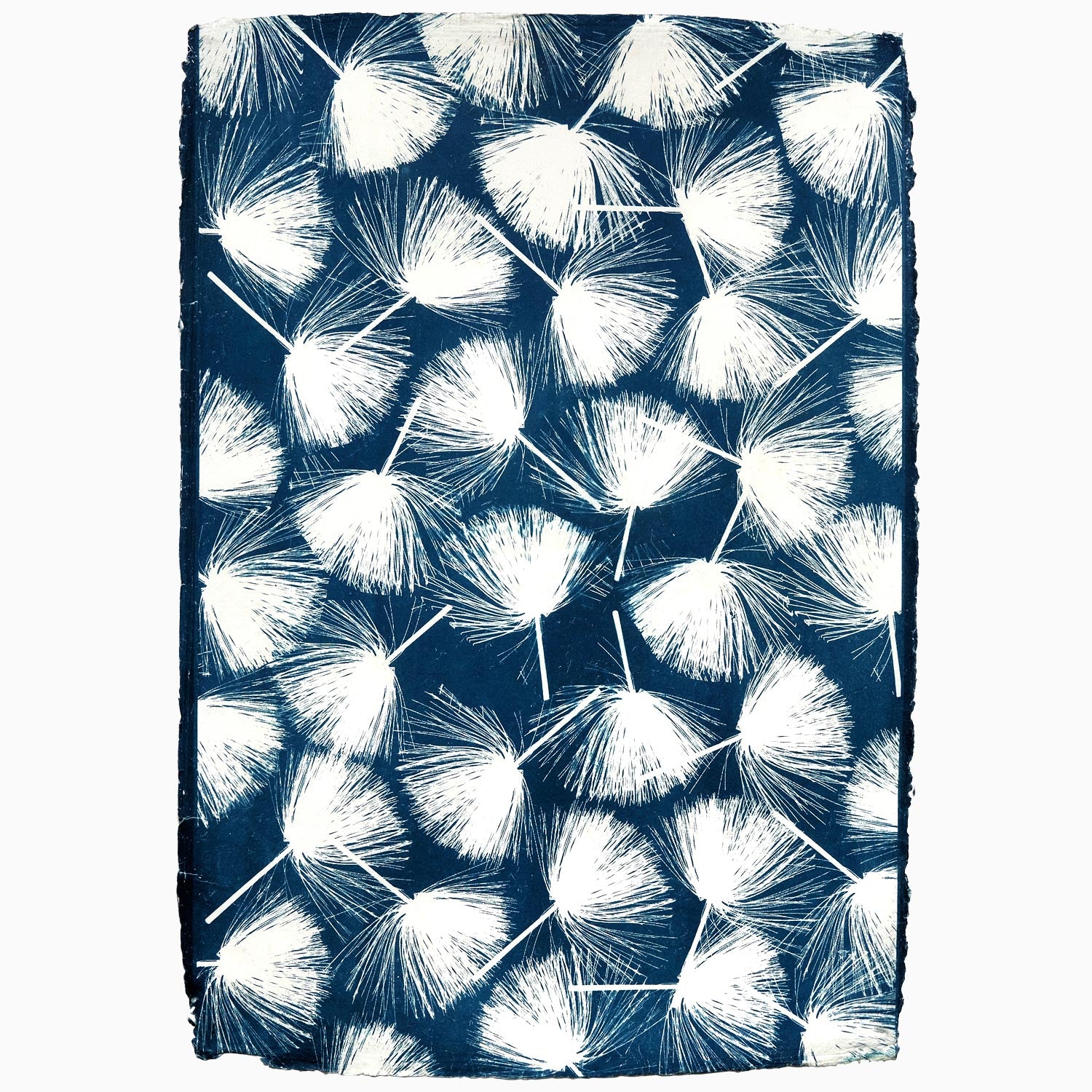 Mimosa Cyanotype Kit - DIY Sun Printing Art Supplies for Botanical Photography, Nature Crafts & Creative Projects | Perfect for Artists, Teachers & Craft Lovers
