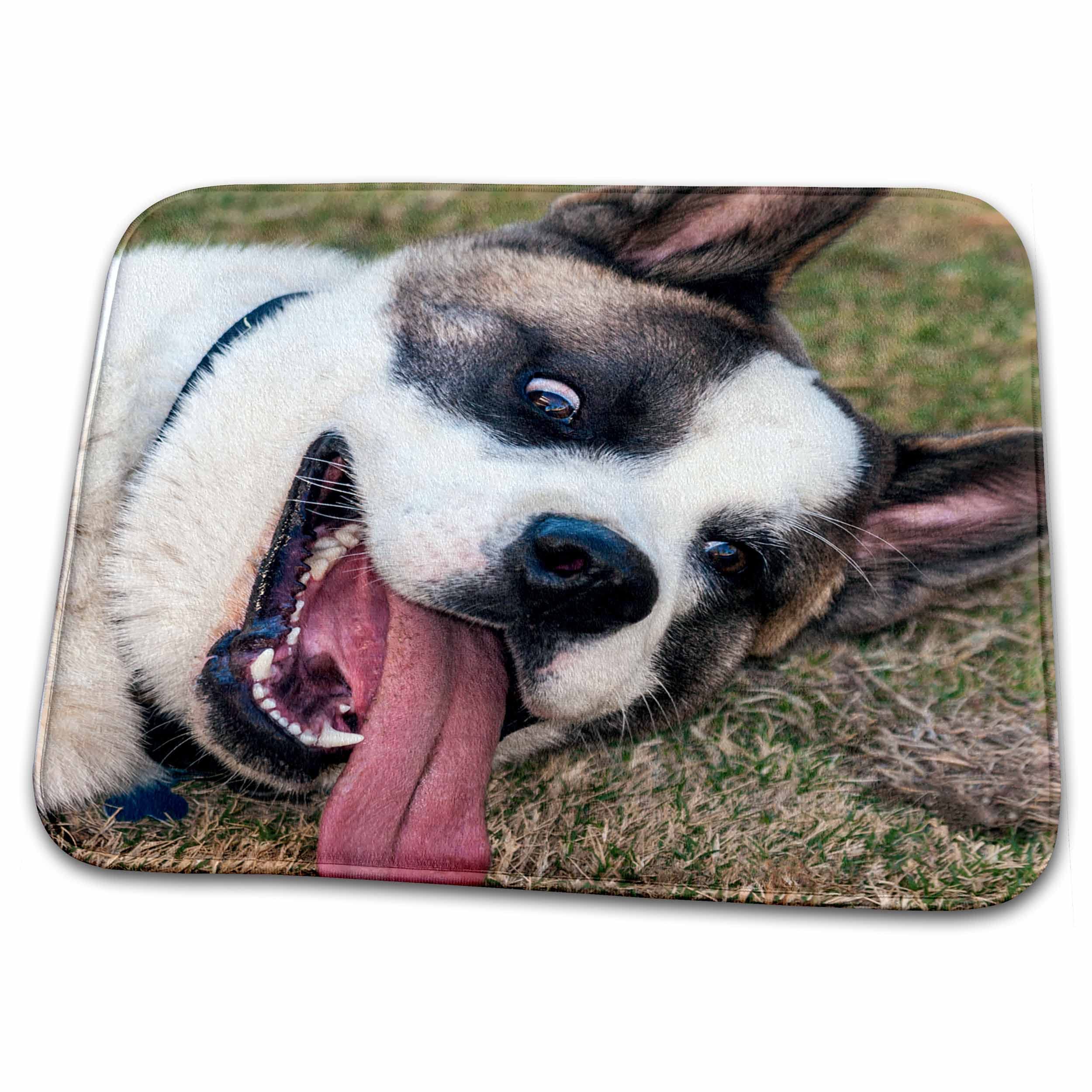 Akita Dog Dish Drying Mat - Non-Slip Kitchen Counter Protector for Dishes