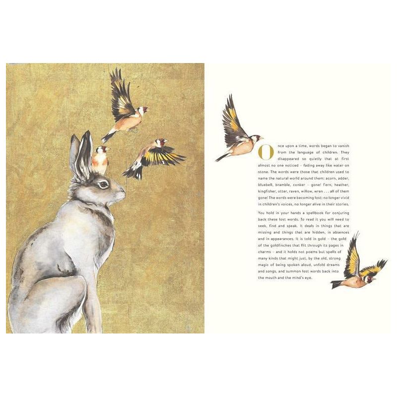 The Lost Words: A Spell Book by Robert Macfarlane & Jackie Morris | Illustrated Nature Poetry for Adults & Kids | Perfect for Nature Lovers, Home Decor & Gift Giving