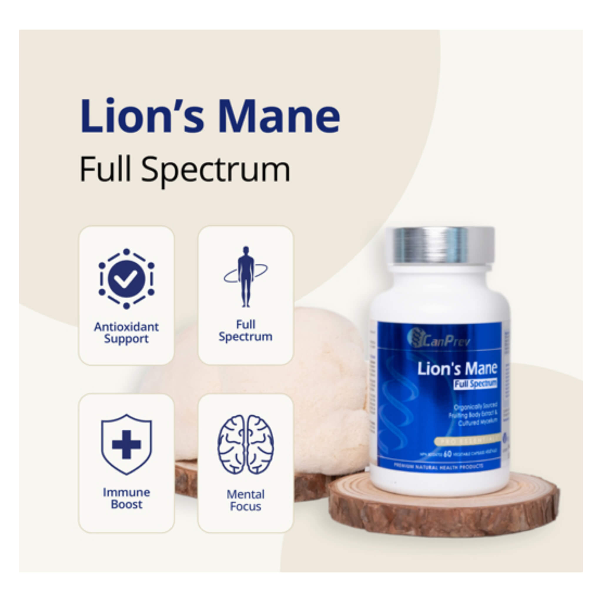 Lion's Mane Mushroom Extract - Organic Full Spectrum Supplement for Brain Health, Memory & Focus - Supports Cognitive Function & Immune System - Perfect for Students, Professionals & Wellness Enthusiasts
