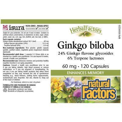 Natural Factors Herbal Factors Ginkgo Biloba 60mg 120 Capsules - Premium Brain Support Supplement for Memory, Focus & Circulation - Ideal for Students, Professionals & Seniors