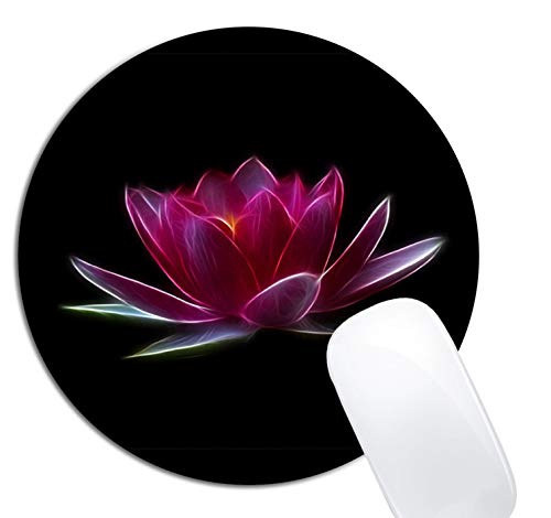 Lotus Flower Water Plant