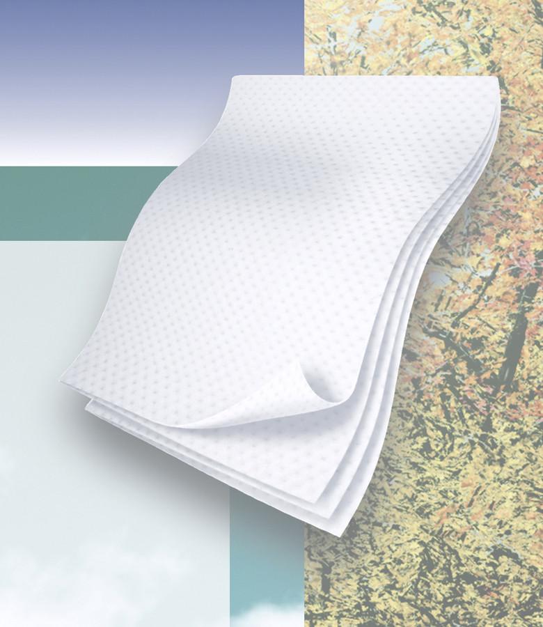 NatureSoft Flushable Dry Wipes - Biodegradable & Septic Safe, Gentle for Sensitive Skin | Perfect for Travel, Gym & On-the-Go Hygiene