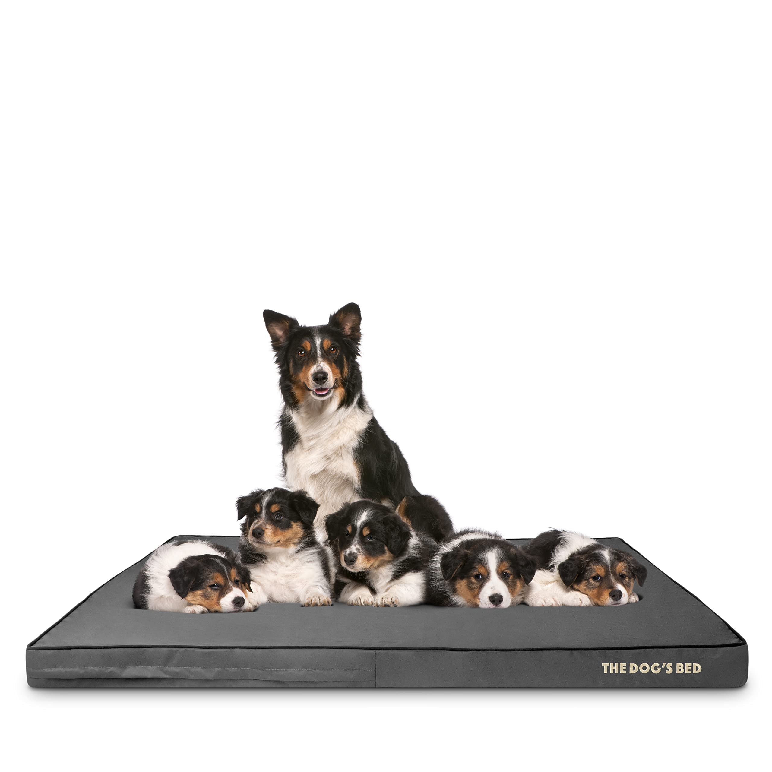 Orthopedic Memory Foam Dog Bed for Large Dogs - XXXL 64x44 Inches, Waterproof & Supportive Pet Bed with Removable Washable Cover, Grey & Black - Vet Approved for Joint Pain Relief - Perfect for Elderly Dogs or Pets with Arthritis in Living Room or Bedroom