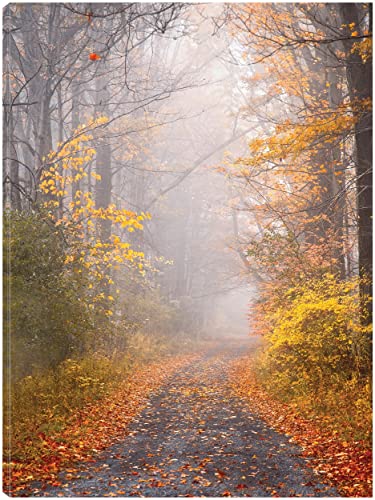 Road and Autumn Mist