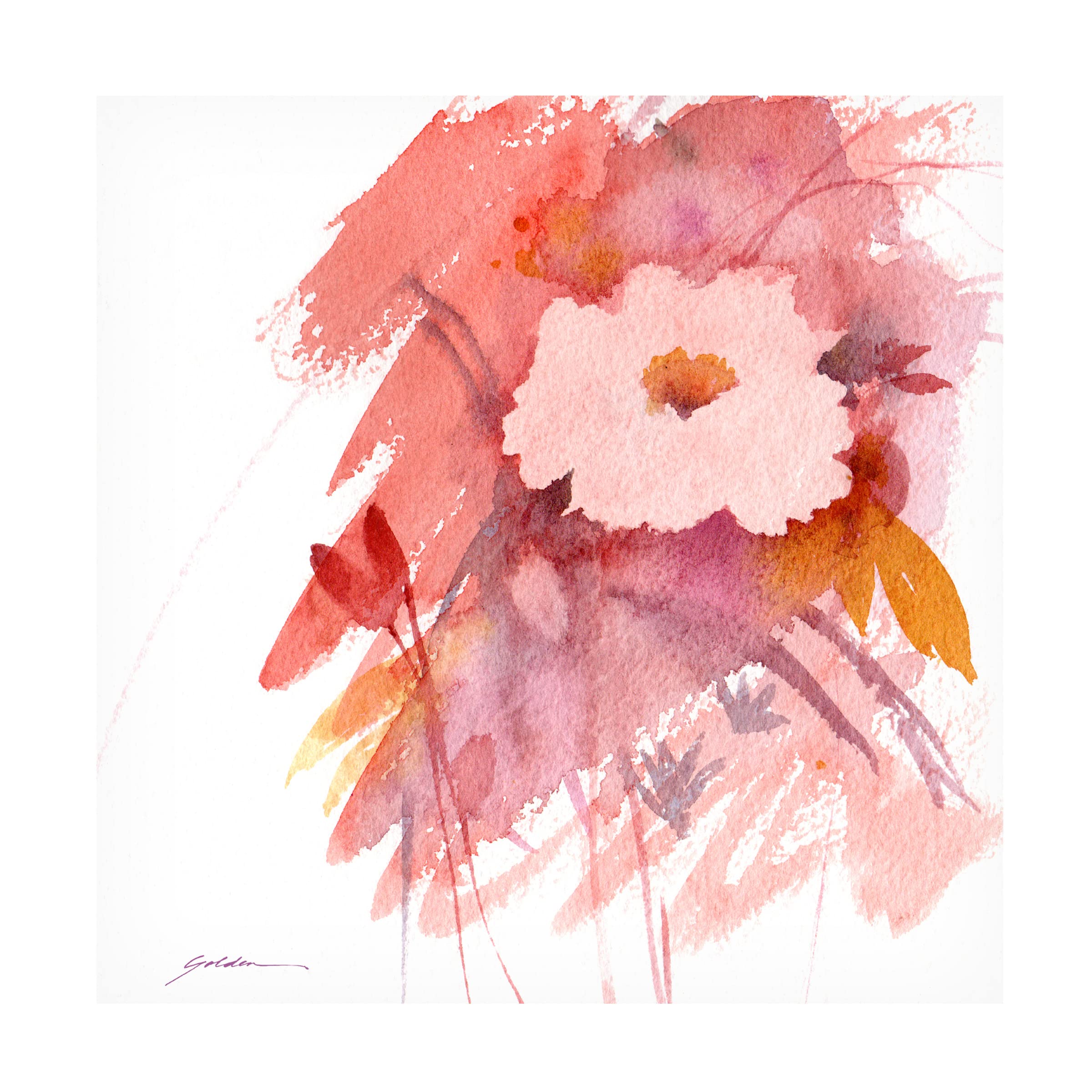 Sheila Golden 'Coral Rose' Canvas Wall Art Print - Floral Home Decor for Living Room, Bedroom & Office | Trademark Fine Art Collection