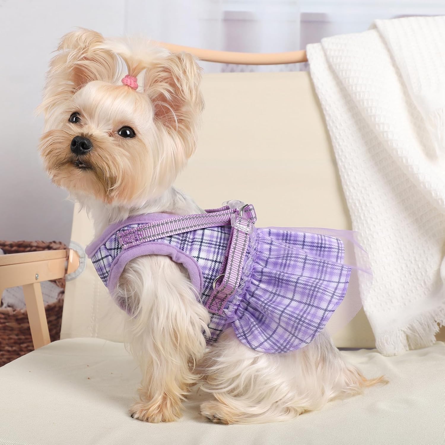 Plaid Dog Harness Dress with Leash Set - Cute Summer Pet Clothes for Small Dogs & Puppies | Chihuahua Harness Outfit (Purple, XX-Small) | Perfect for Daily Walks, Pet Parties & Photo Shoots