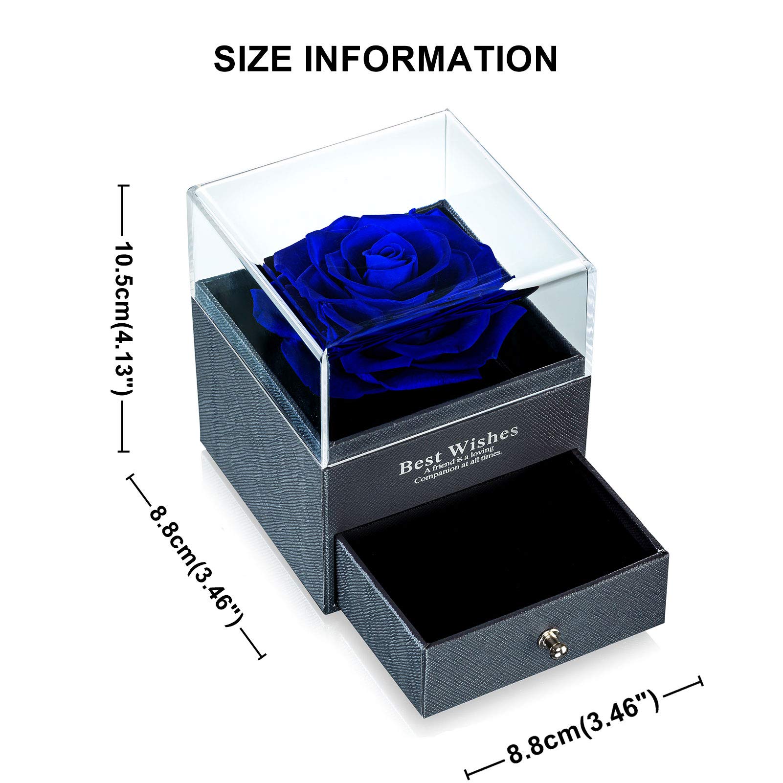 NUPTIO Preserved Fresh Rose in Jewelry Box - Eternal Infinity Rose Gift for Women, Blue Everlasting Flower for Wedding, Valentine's Day, Birthday & Mother's Day | Romantic Home Decor, Wedding Centerpiece, Luxury Gift Box for Special Occasions