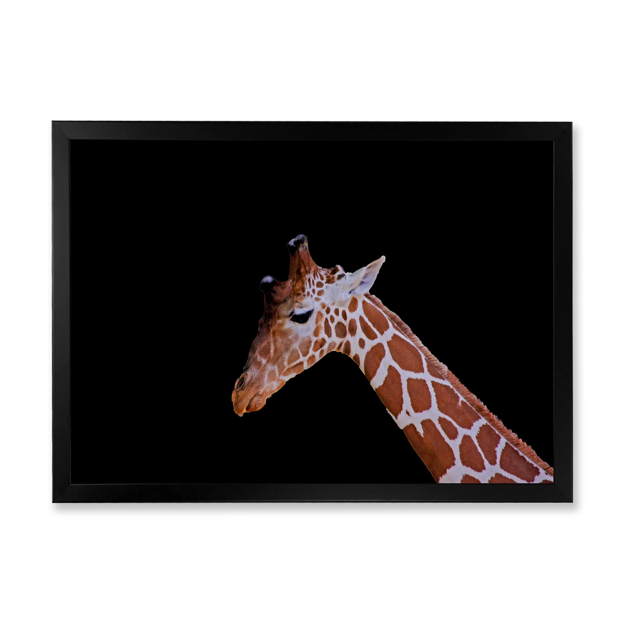 DesignQ Giraffe Portrait Framed Wall Art - Vintage Farmhouse Decor for Living Room, Bedroom & Office