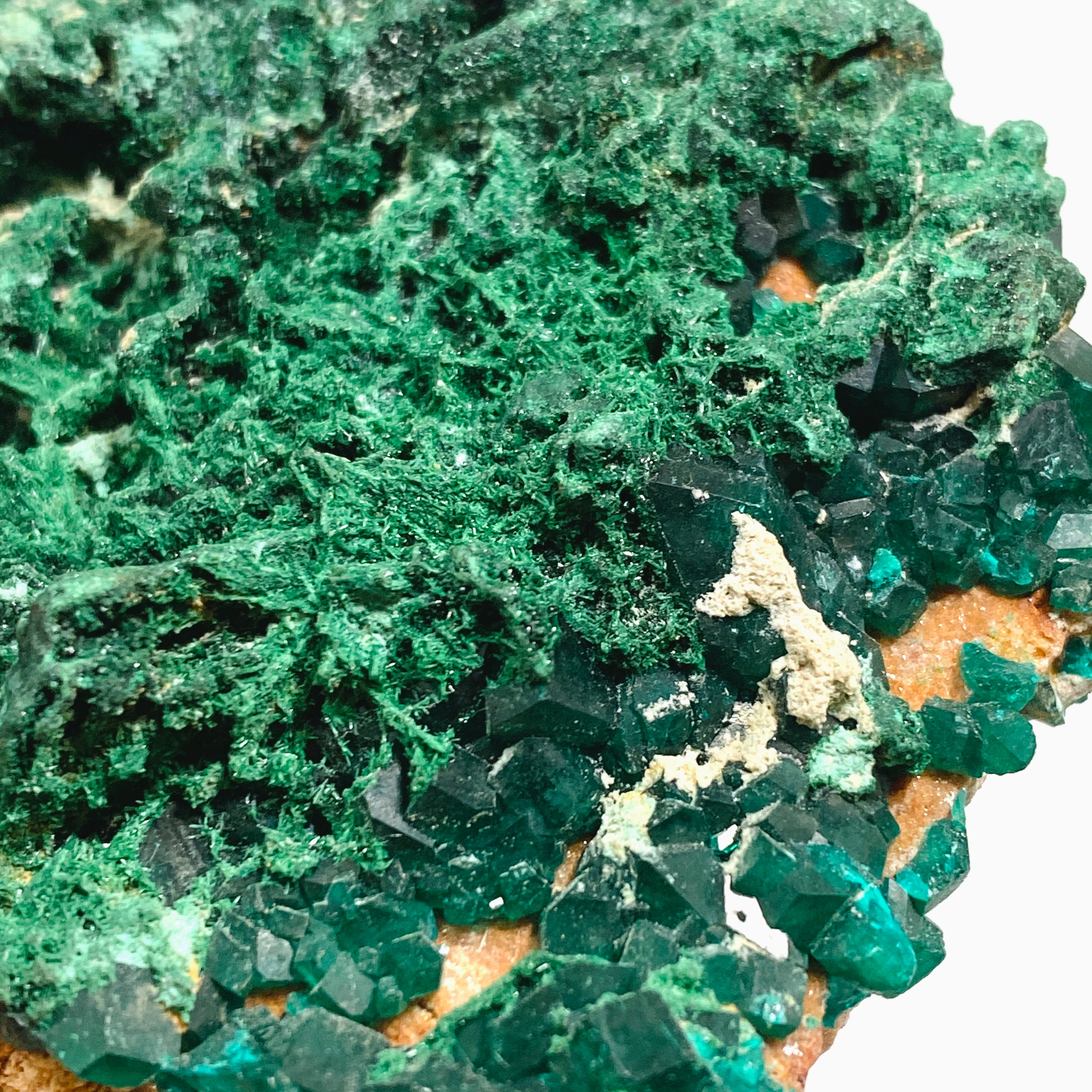 Natural Dioptase and Malachite Crystal Specimen from Congo - CR3745 | Mineral Collection, Healing Crystals, Geology Display, Home Decor