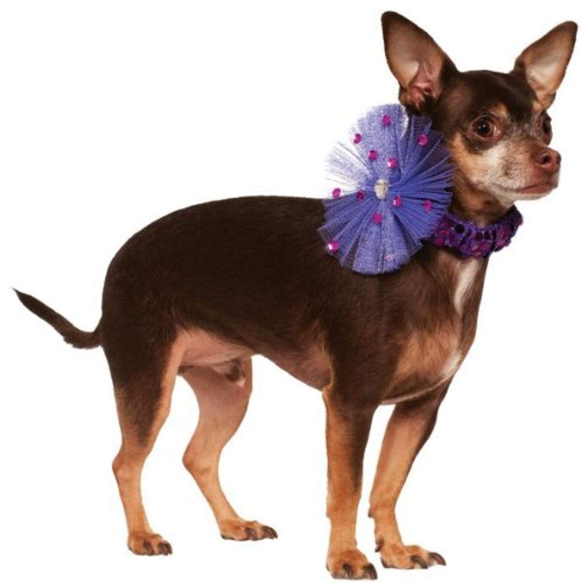 Rubies Pet Necklace Collar for Small & Medium Dogs - Sparkling Purple Sequin Design | Perfect for Parties, Halloween & Special Occasions