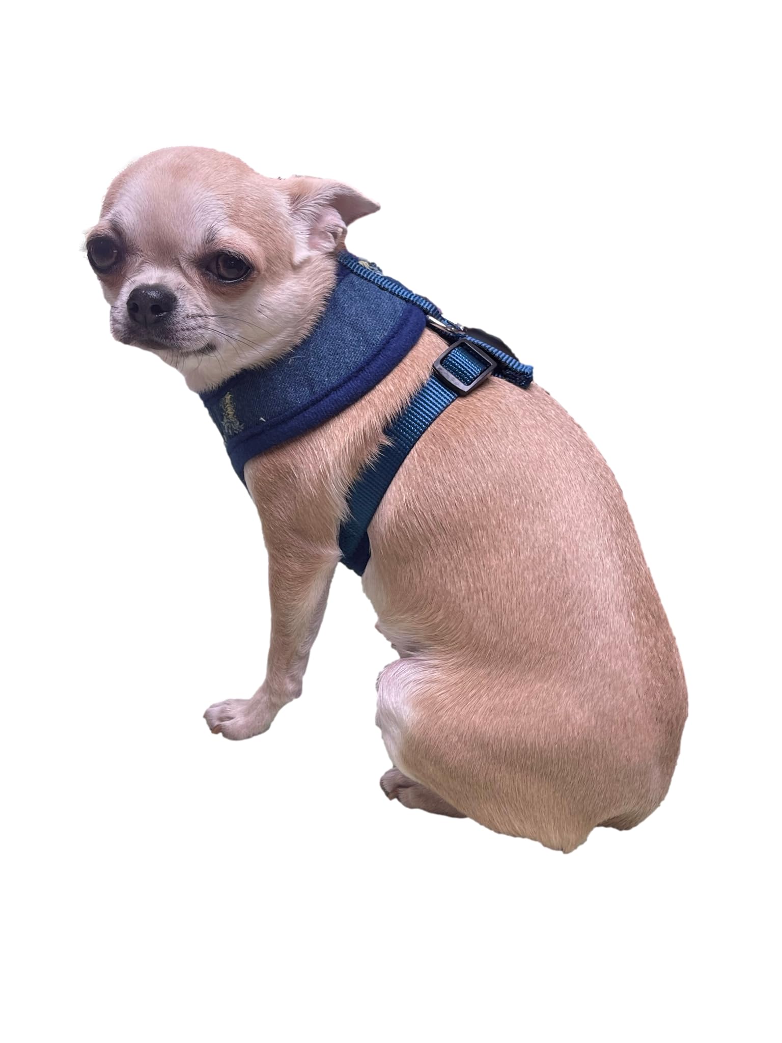 Custom Embroidered Dog Harness - Adjustable Soft Padded Denim Pet Vest for Small to Large Dogs | No-Pull Design | Made in USA (X-Small) | Perfect for Walks, Training & Outdoor Adventures