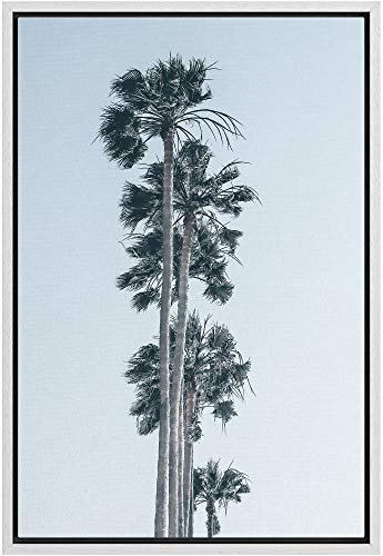 Coastal-vee06