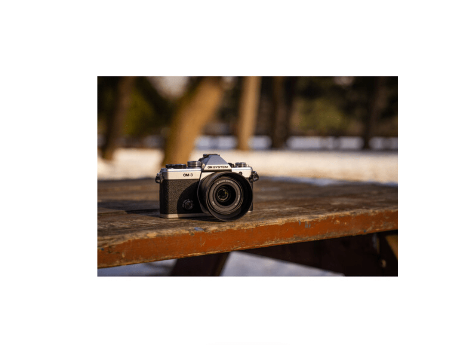 OM System OM-3 Body - High-Quality DSLR Camera for Professional Photography | Perfect for Travel, Wildlife, and Portrait Photography