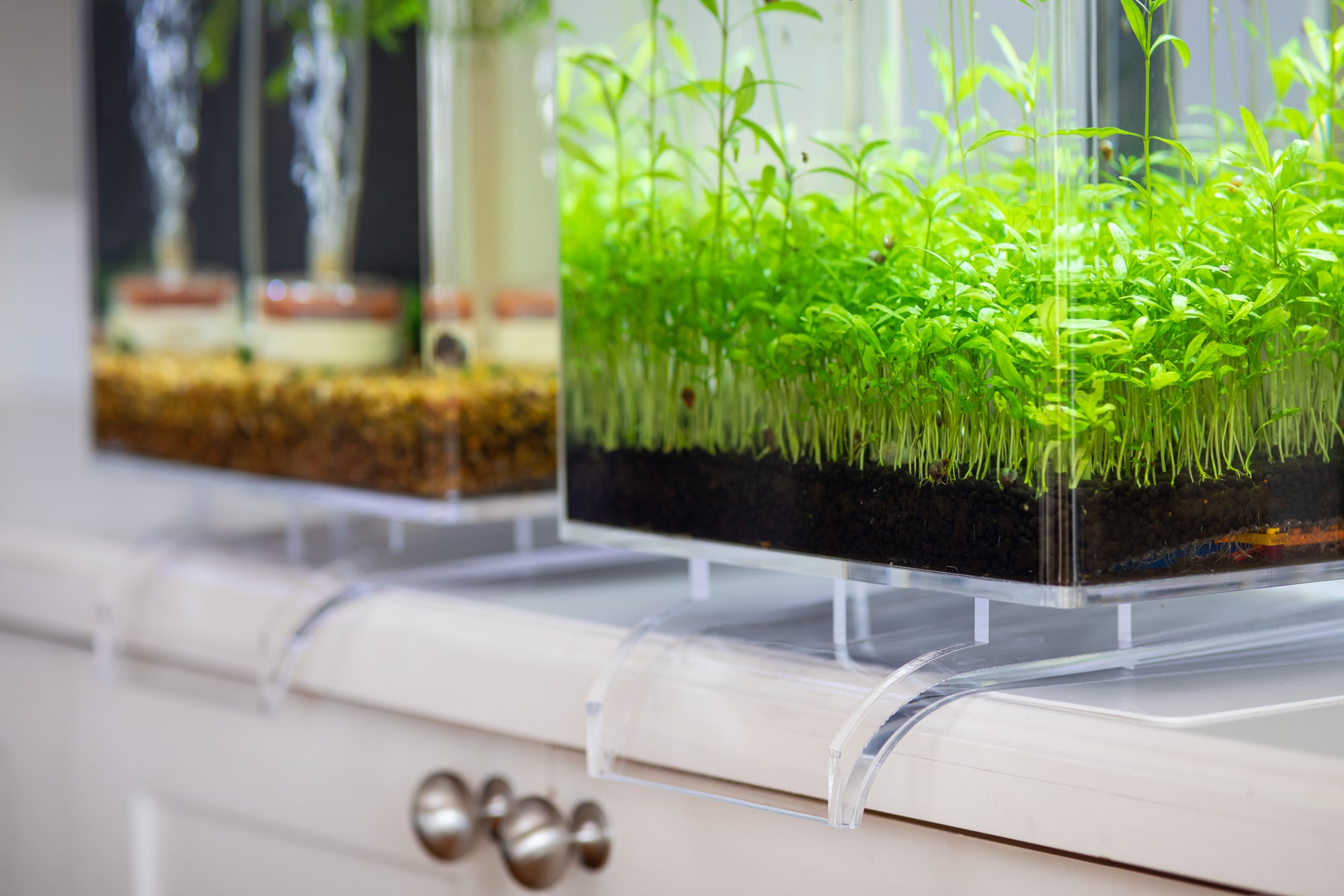 5 Gallon Self-Cleaning Aquarium with Waterfall Stand - Easy Water Changes for Small Fish Tanks | Perfect for Betta Fish, Shrimp & Nano Aquariums