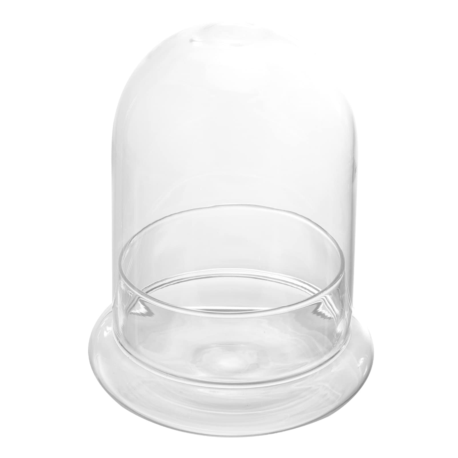 Angoily Glass Cloche Bell Jar with Wooden Base - 8 Inch Terrarium Dome for Plants, Succulents & Fairy Lights | Vintage Home Decor for Centerpieces, Weddings & Indoor Garden Displays