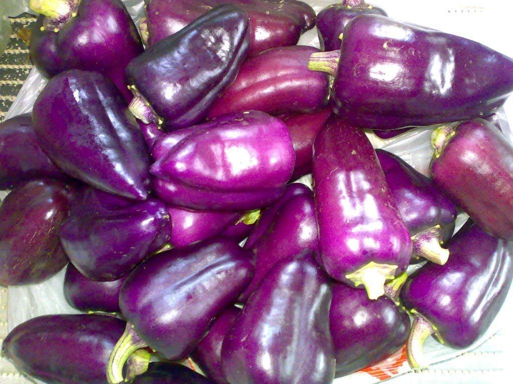 Organic Non-GMO Purple Heirloom Sweet Bell Pepper Seeds - Perfect for Home Gardening, Vegetable Patches & Sustainable Farming