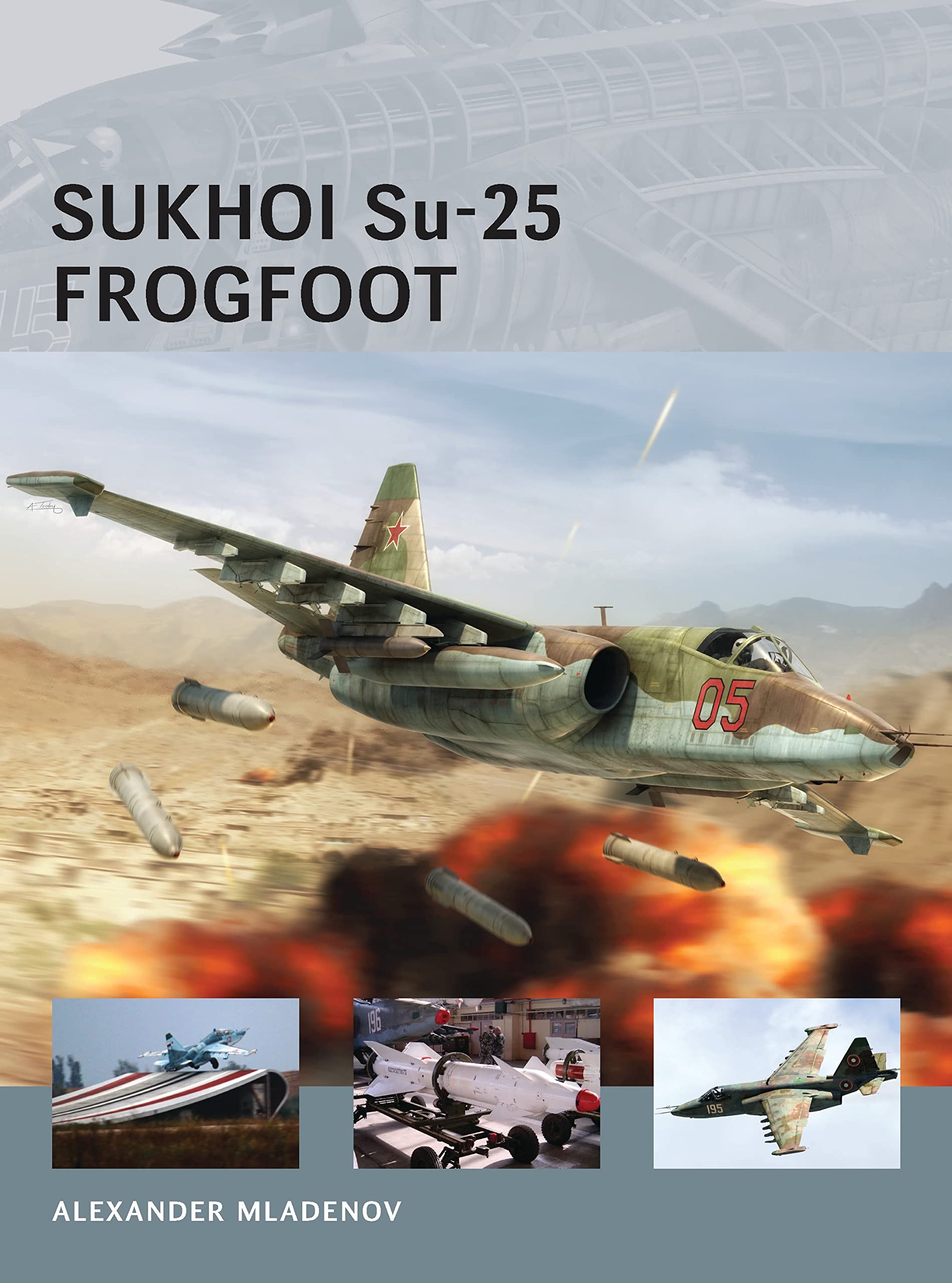 Sukhoi Su-25 Frogfoot Military Aircraft Model - Detailed Scale Replica for Collectors & Aviation Enthusiasts - Perfect for Display, Gifts & Historical Collections