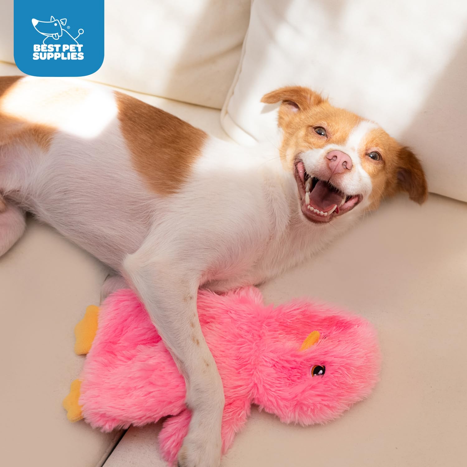 Best Crinkle Chicken Plush Dog Toy for Interactive Play - Fun Puppy & Senior Indoor Pet Supplies, Cute & Cuddly Chicken Shape (Pink) - Perfect for Training, Teething Relief & Bonding Time